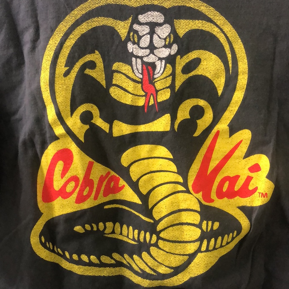 COBRA KAI Gray T Shirt Mens Sz M Strike 1st Strike Hard No Mercy Karate